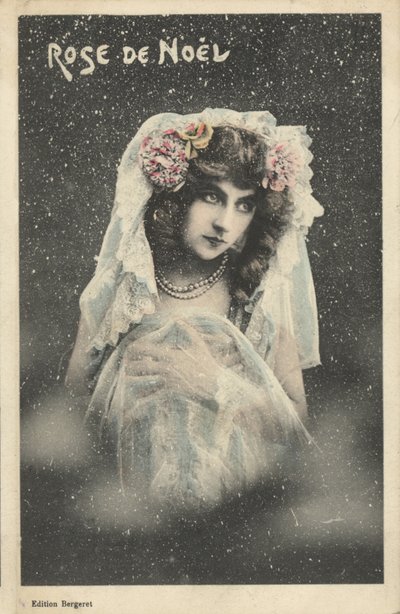Christmas rose by French Photographer